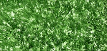 artificialturfsupply13